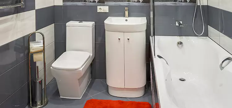Hansgrohe Shaving Mirror Cape Girardeau
